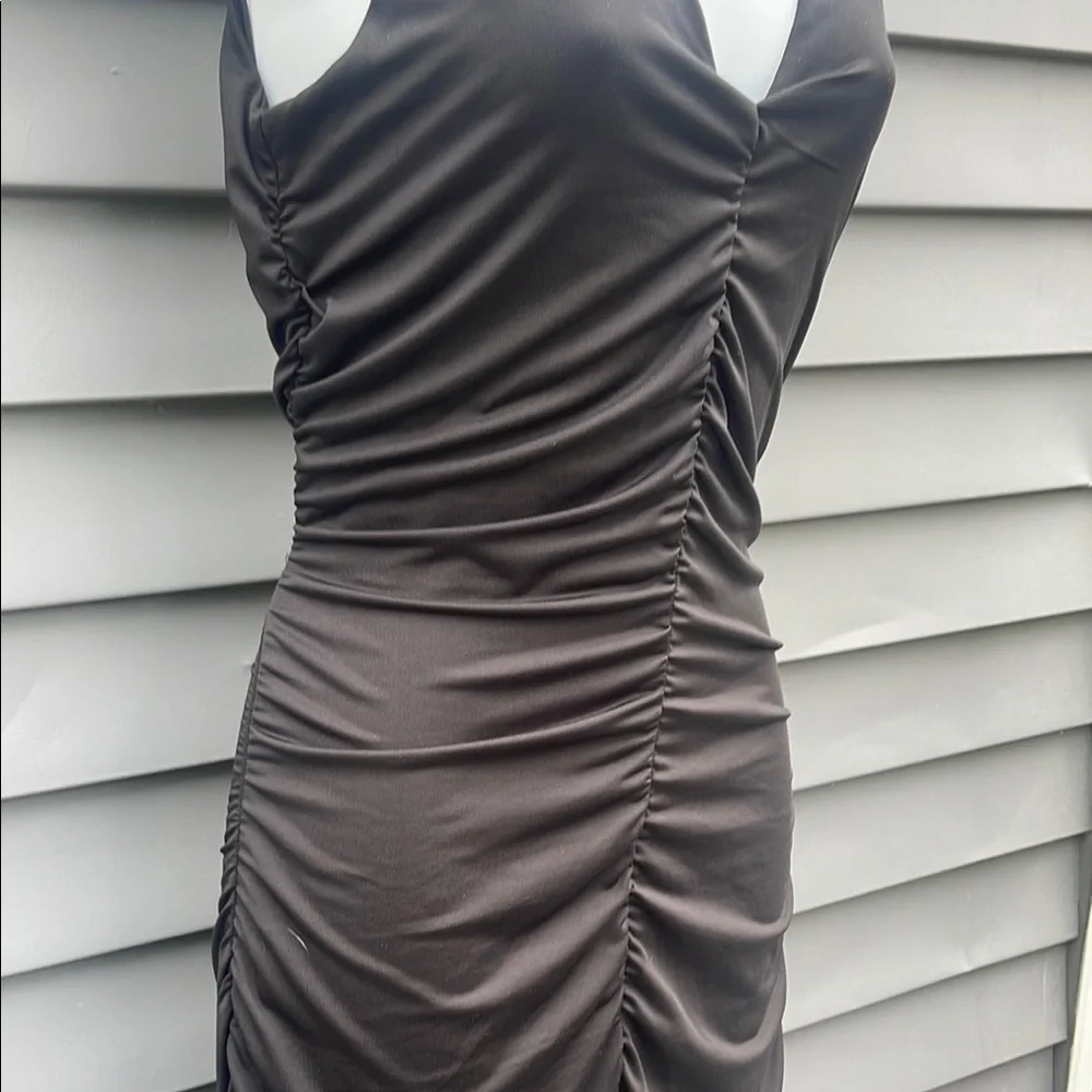 Avln Studio (Stitch Fix) Lolita Ruched Fitted Dress